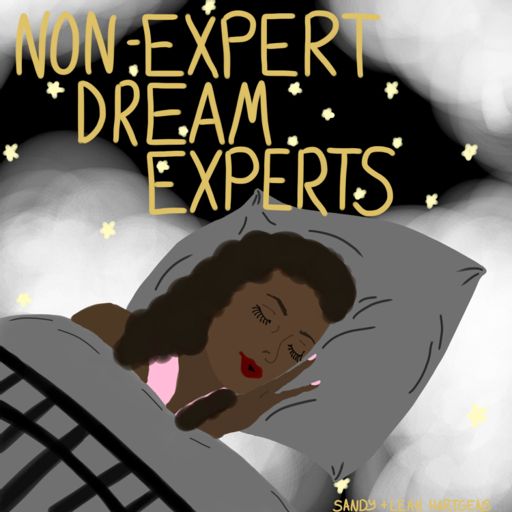 Cover art for podcast Non-Expert Dream Experts