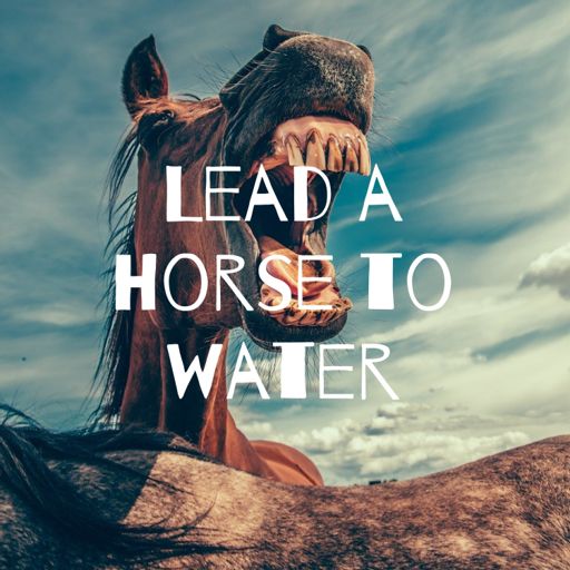 Cover art for podcast Lead a Horse to Water