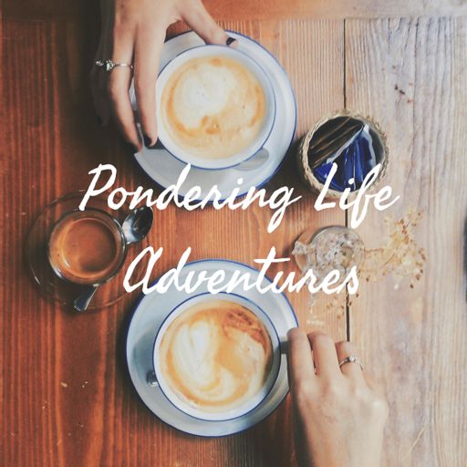 Cover art for podcast Pondering Life Adventures