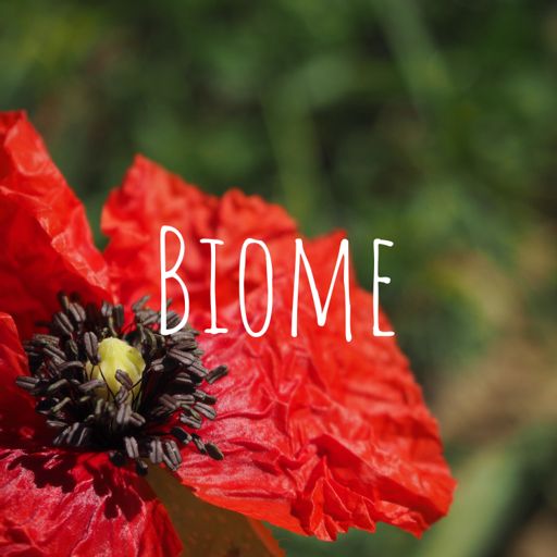 Cover art for podcast Biome