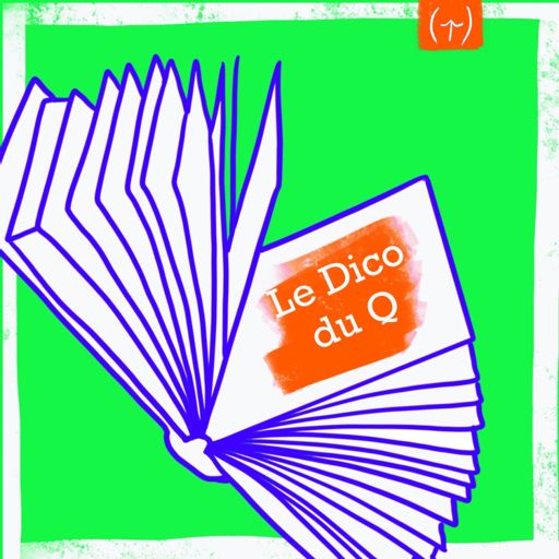Cover art for podcast Le Dico du Q