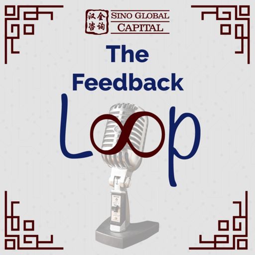 Cover art for podcast The Feedback Loop