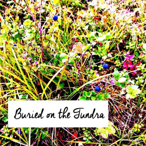 Cover art for podcast Buried on the Tundra