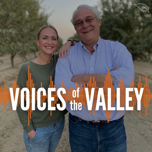 Cover art for podcast Voices of the Valley