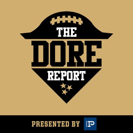Cover art for podcast The Dore Report