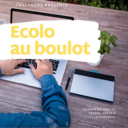 Cover art for podcast Ecolo au boulot