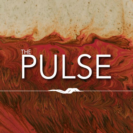 Cover art for podcast The Pulse Podcast by Our God Given Mission