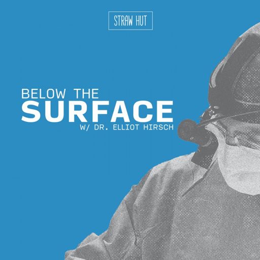 Cover art for podcast Below the Surface