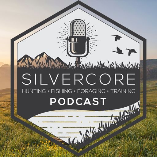 Cover art for podcast The Silvercore Podcast