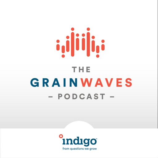 Cover art for podcast GrainWaves