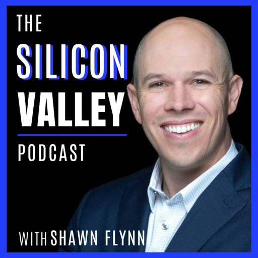 Cover art for podcast The Silicon Valley Podcast
