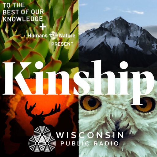 Cover art for podcast TTBOOK Presents: Kinship