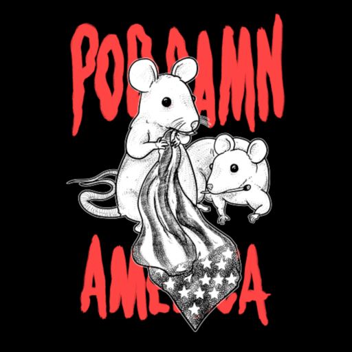 Pod Damn America on RadioPublic
