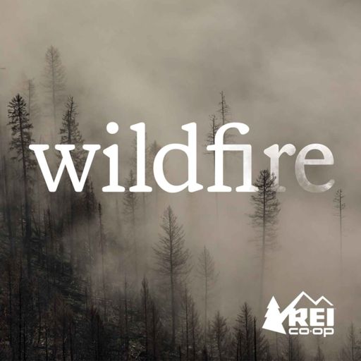 Cover art for podcast Wildfire