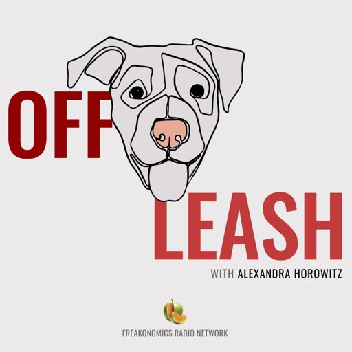 Cover art for podcast Off Leash
