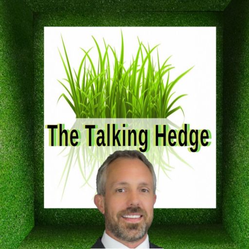 Cover art for podcast The Talking Hedge