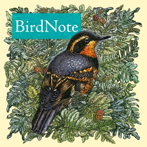 Cover art for podcast BirdNote Daily