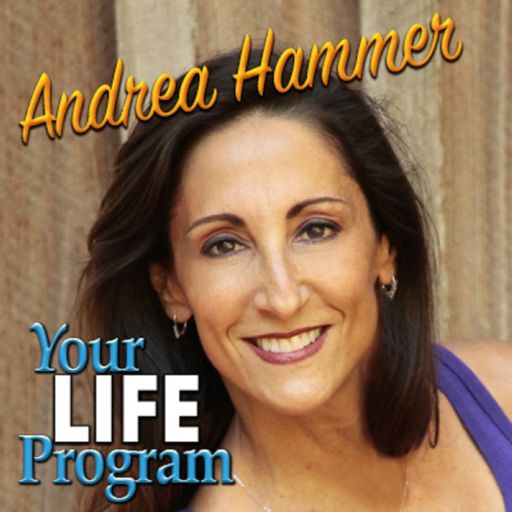 Cover art for podcast Your Life Program