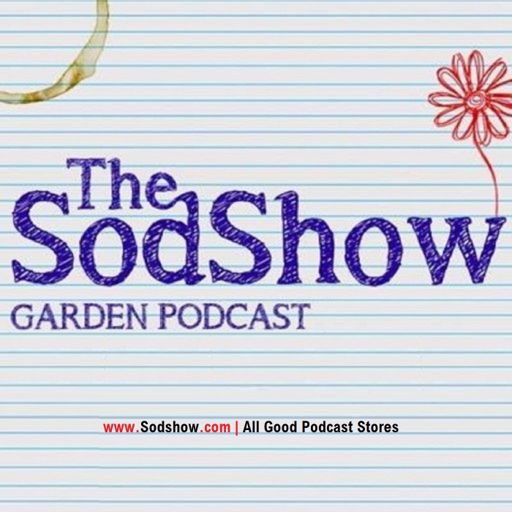 The Sodshow Garden Podcast Sod Show On Radiopublic