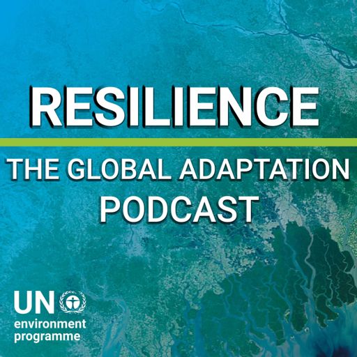 Cover art for podcast Resilience: The Global Adaptation Podcast