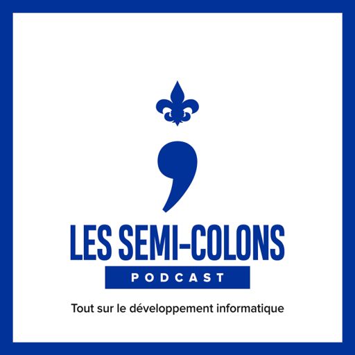 Cover art for podcast Les Semi-Colons