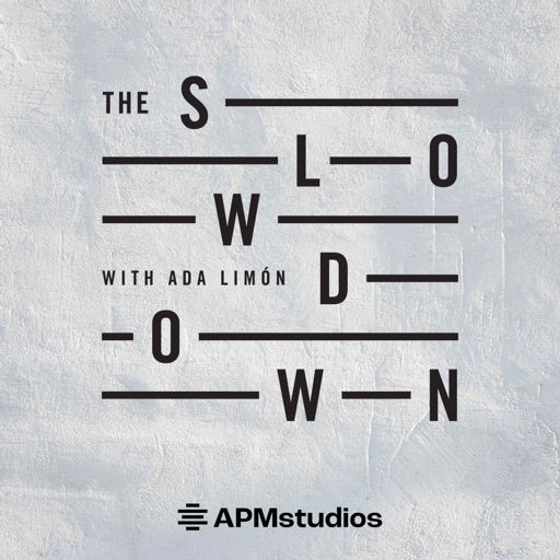 Cover art for podcast The Slowdown