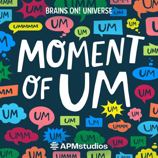 Cover art for podcast Moment of Um