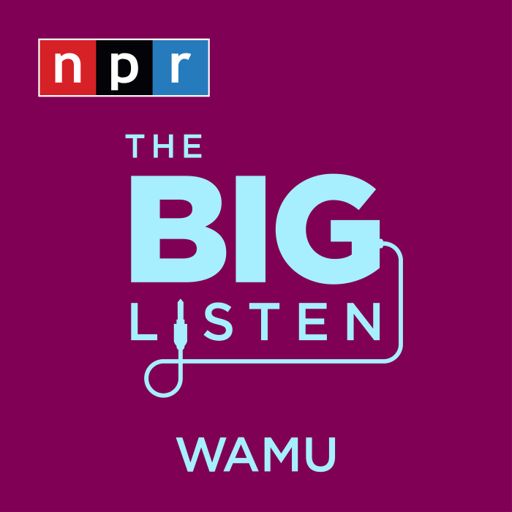 Cover art for podcast The Big Listen