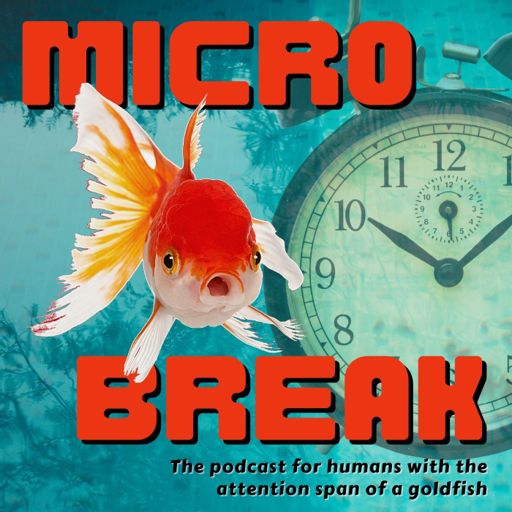 Cover art for podcast MICRO BREAK
