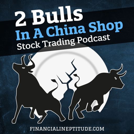 Cover art for podcast 2 Bulls In A China Shop