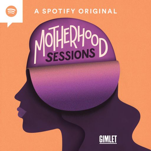 Cover art for podcast Motherhood Sessions