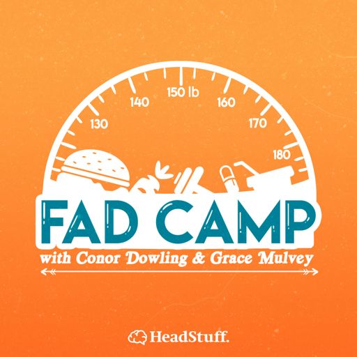 Cover art for podcast Fad Camp