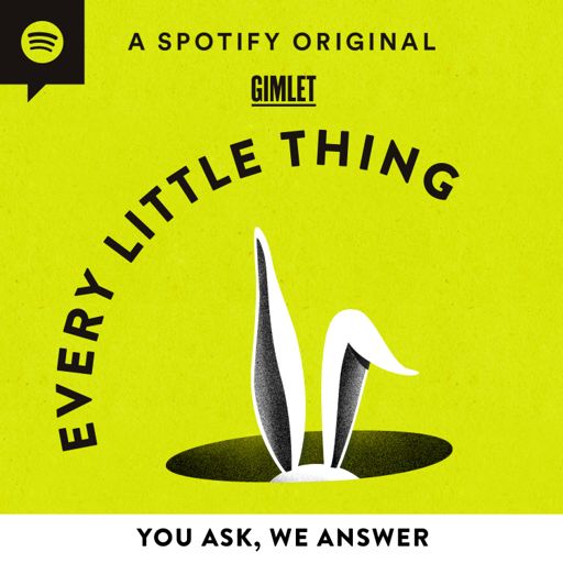 Cover art for podcast Every Little Thing