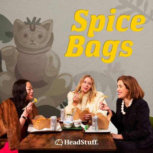 Cover art for podcast Spice Bags