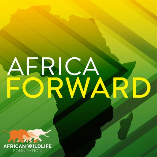 Cover art for podcast Africa Forward