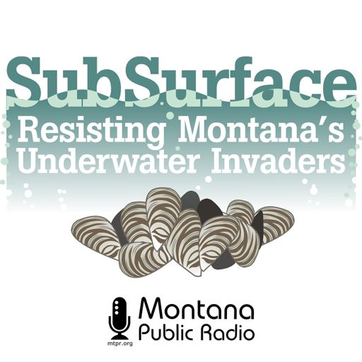 Cover art for podcast SubSurface