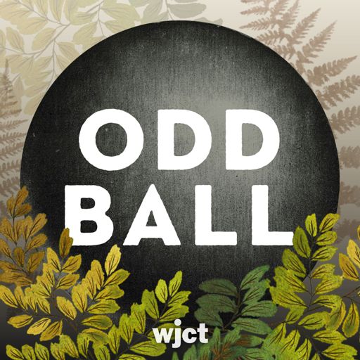 Cover art for podcast Odd Ball Podcast