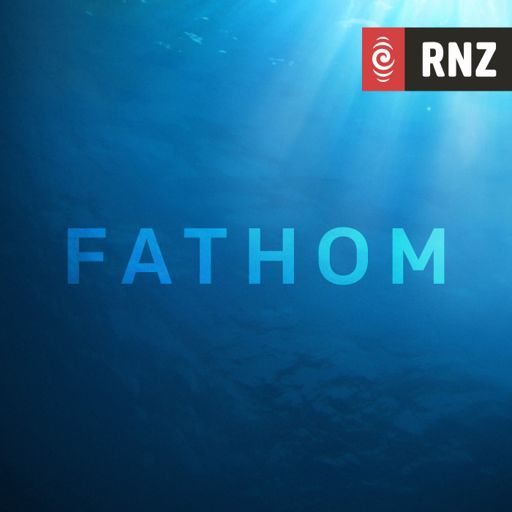 Cover art for podcast Fathom