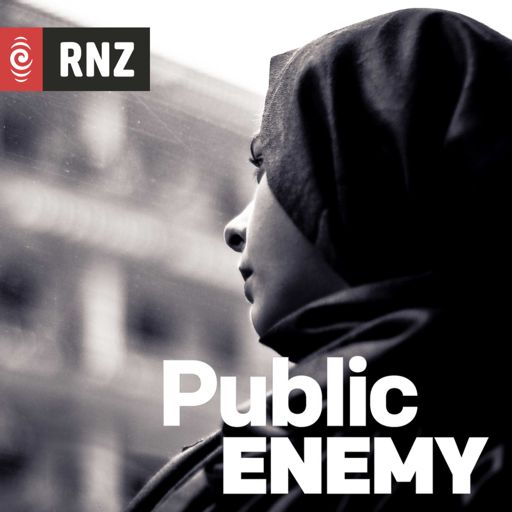Cover art for podcast Public Enemy