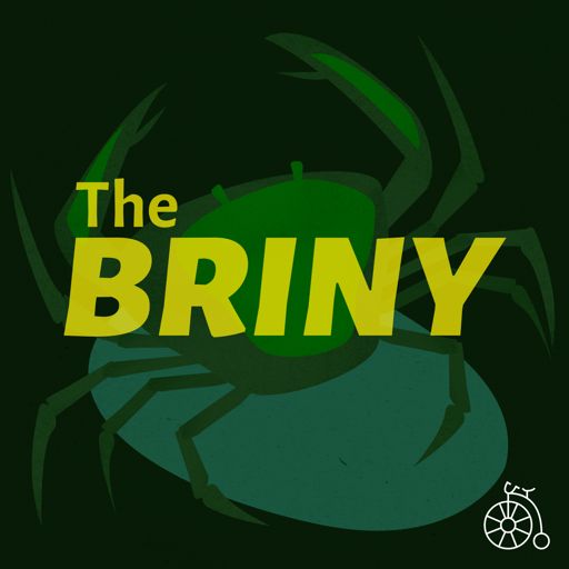 Cover art for podcast The Briny