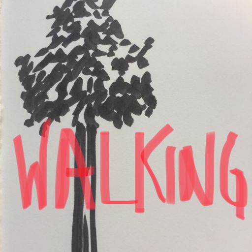 Cover art for podcast The WALKING podcast