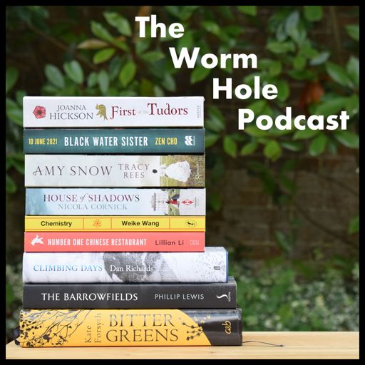 Cover art for podcast The Worm Hole Podcast