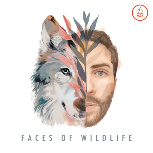 Cover art for podcast Faces of Wildlife