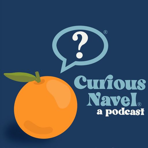 Cover art for podcast Curious Navel