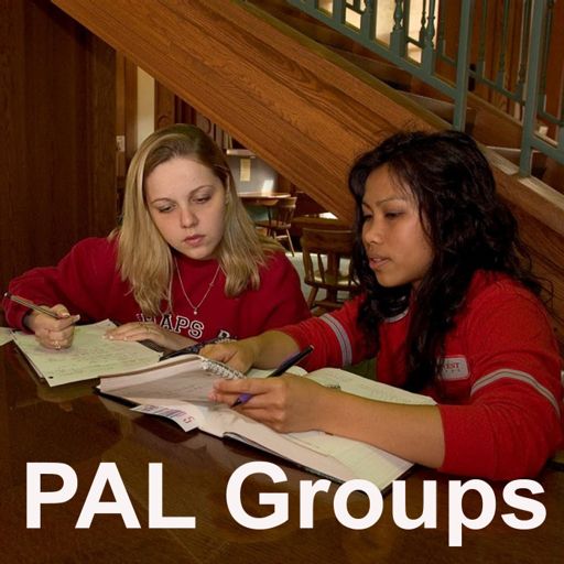Cover art for podcast Peer Assisted Learning (PAL) Groups : College Group Tutoring and Study Review Groups