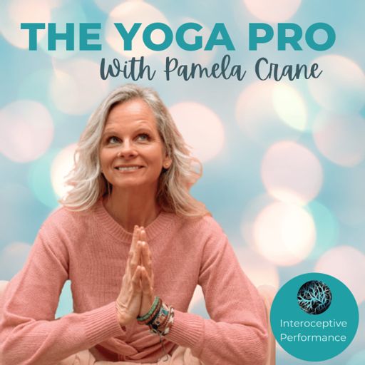 Cover art for podcast The Yoga Pro Podcast