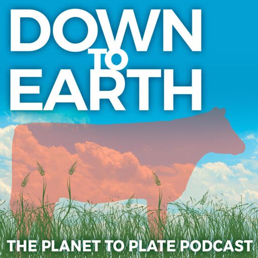 Cover art for podcast Down to Earth: The Planet to Plate Podcast