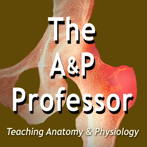 Cover art for podcast The A&P Professor