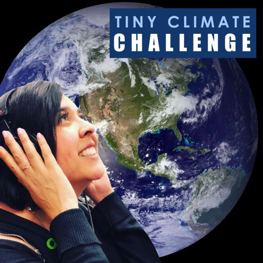 Cover art for podcast Tiny Climate Challenge