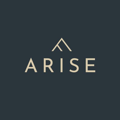 Cover art for podcast Arise - The full power of digital marketing for your business
